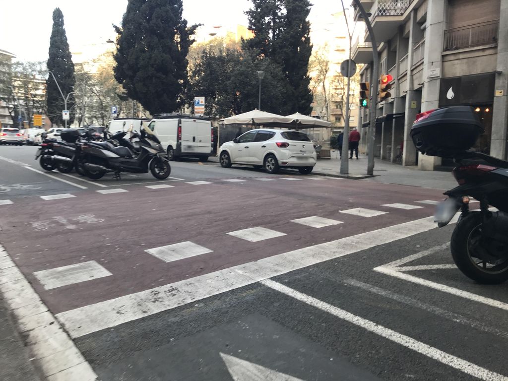 Garzonea