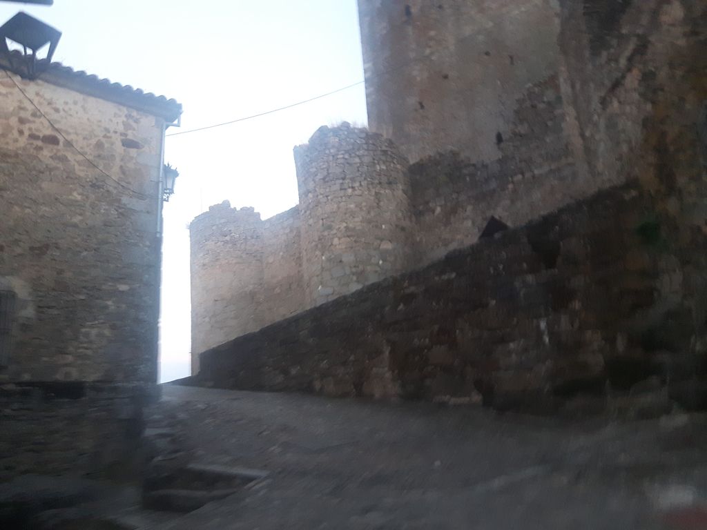 Café Bar La Mandrágora