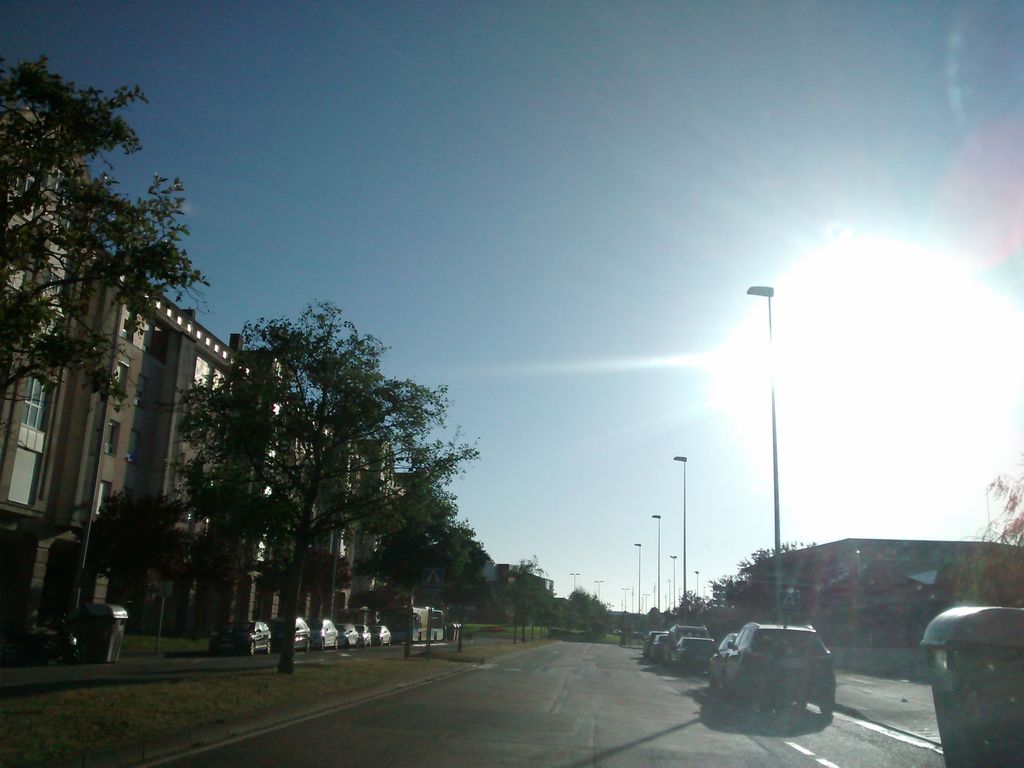 Cafetería Alisal 48