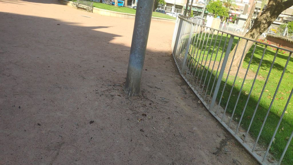 Terraza Bar Tropical