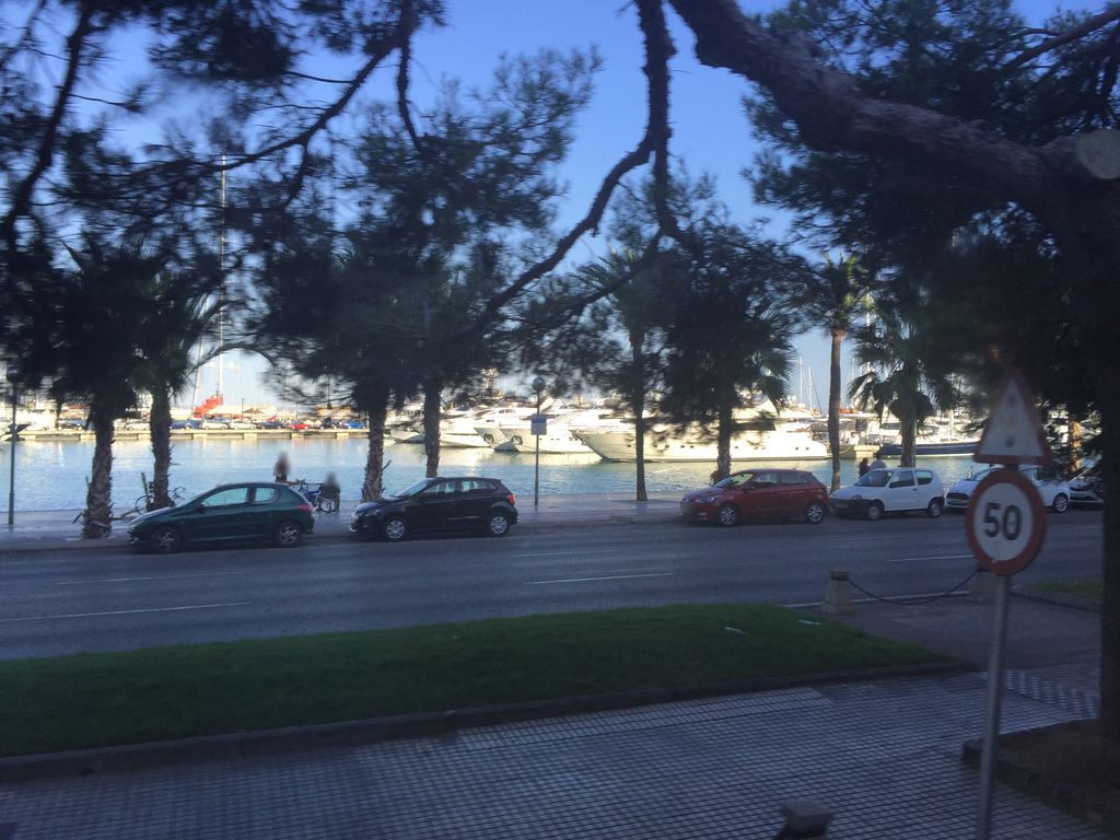 La Bodeguita del Medio