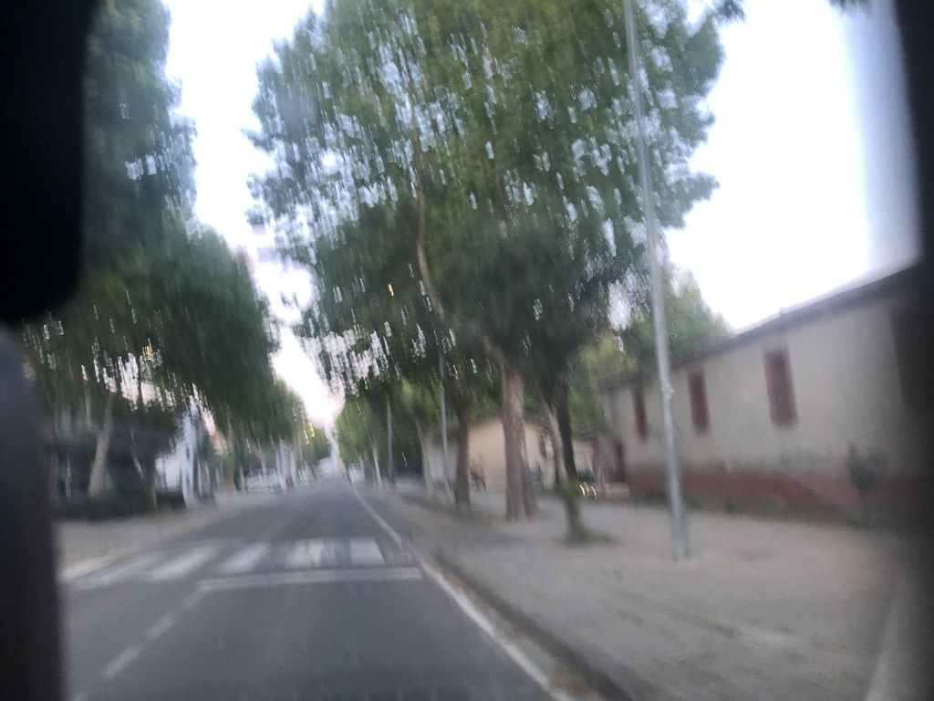 El Ejido