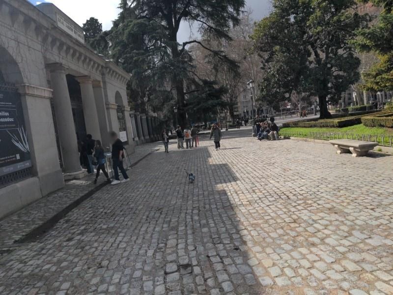 Café Murillo