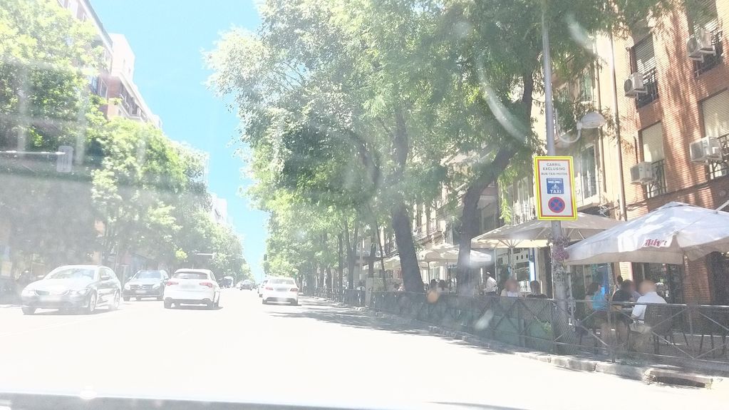 El Nuevo Rincón de Jaén