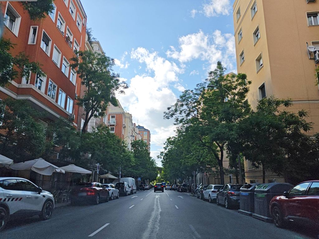 La Rosaleda