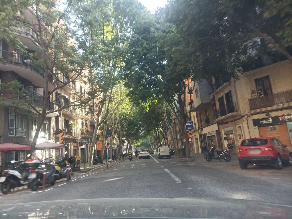 Garrofer Gaudí