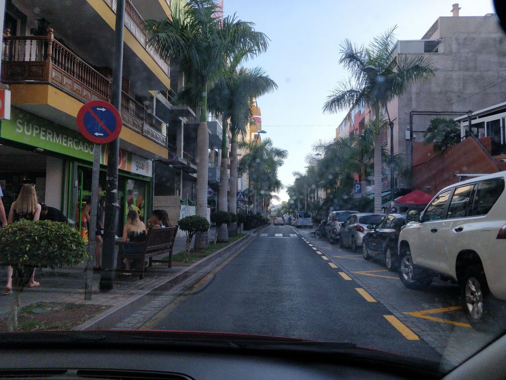 Palmera