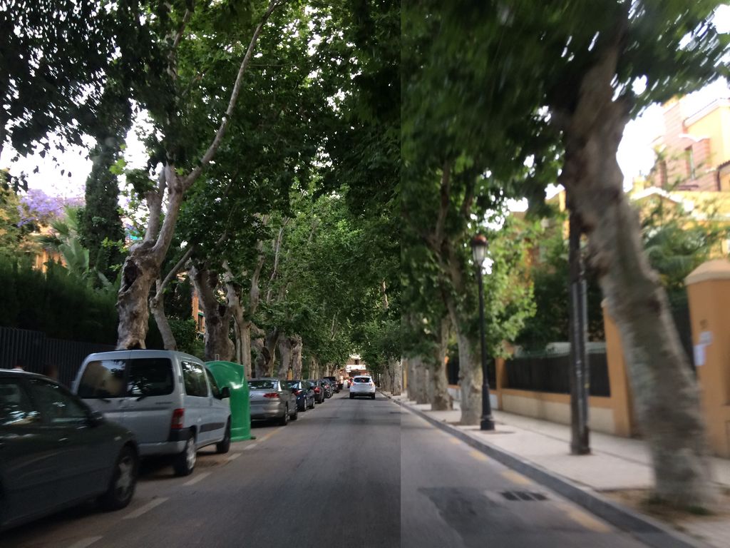 La Tertulia del Limonar