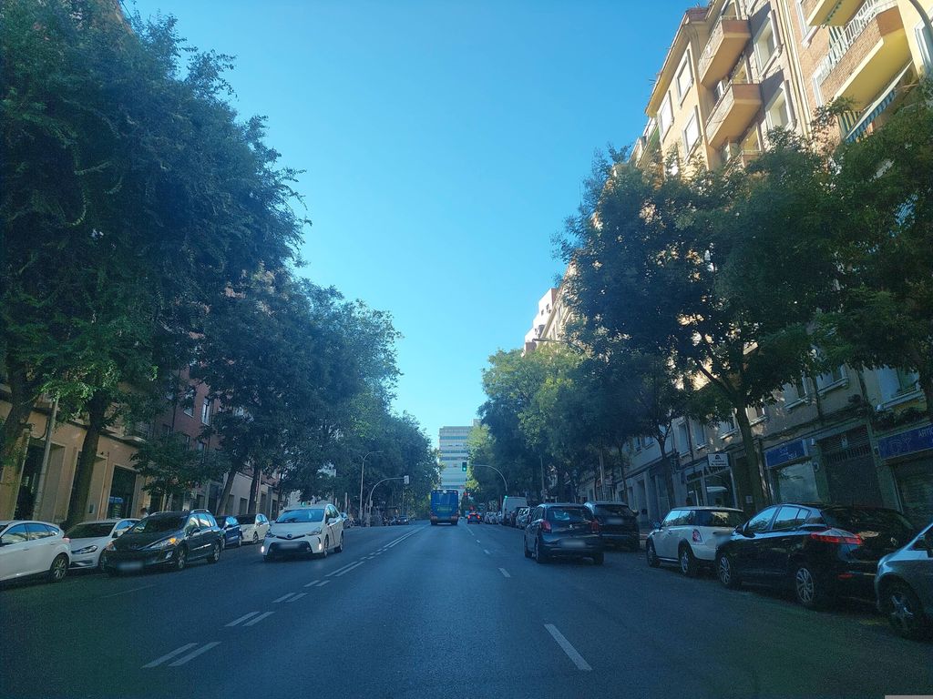 Nuevo