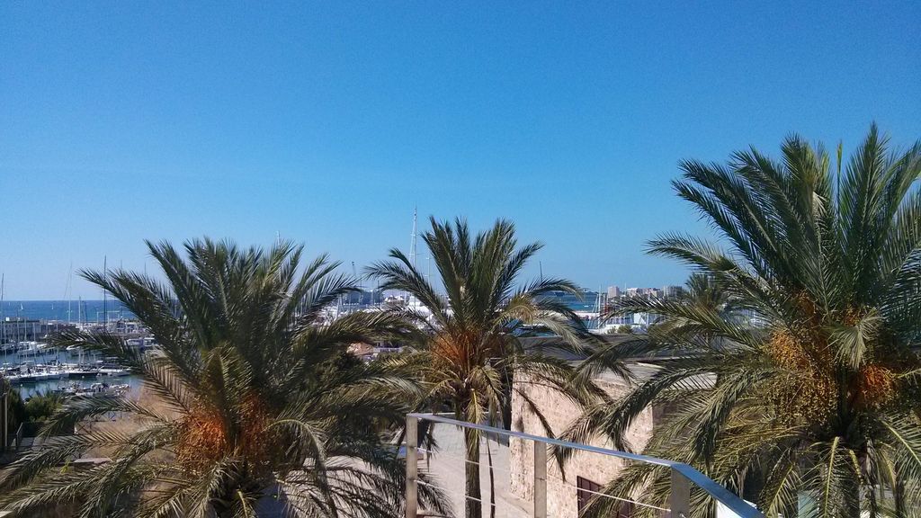 Terrassa de sa Feixina