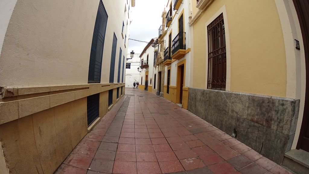 La Sureña