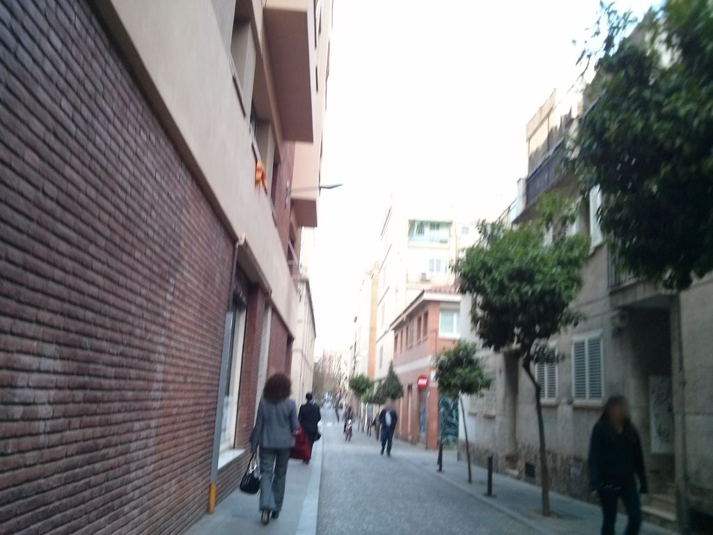 Espai de gats