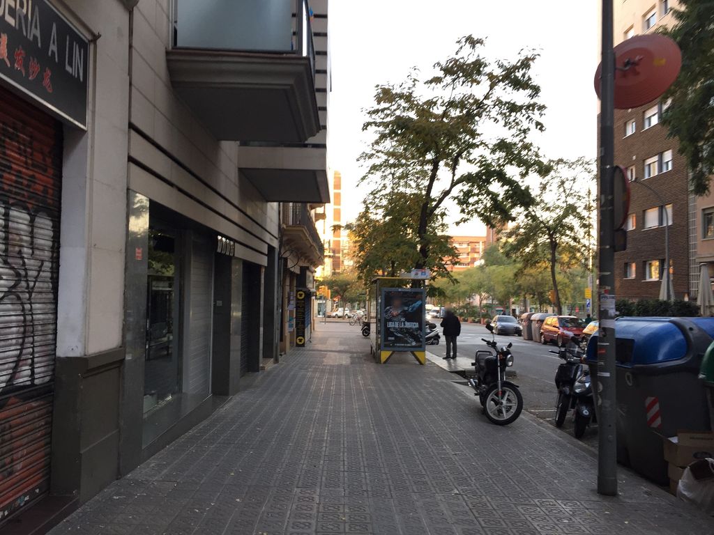 Frankfurt Monfort