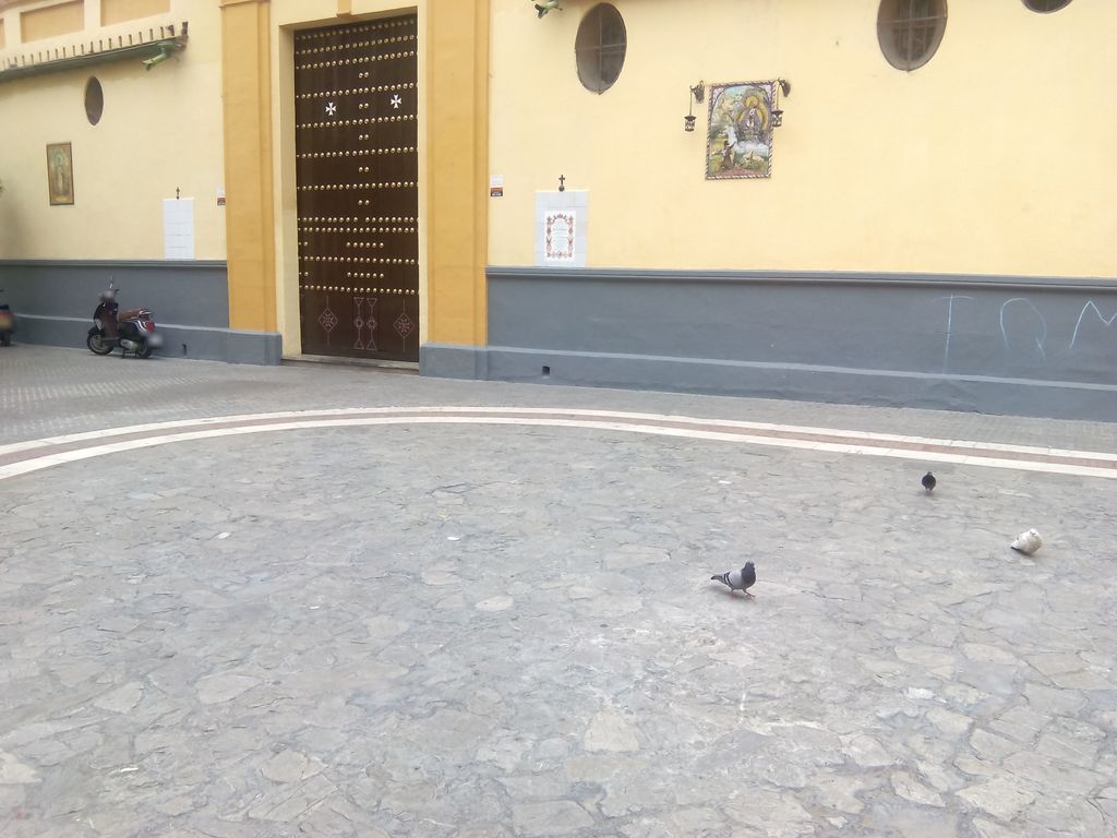 Guevara & Lynch
