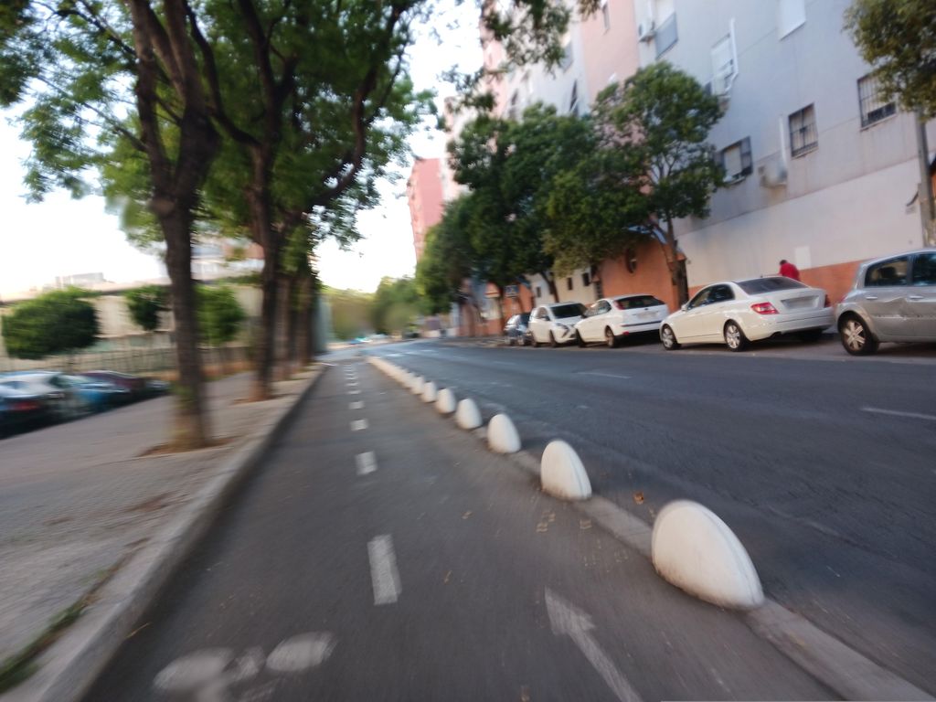Bodeguita Palmera