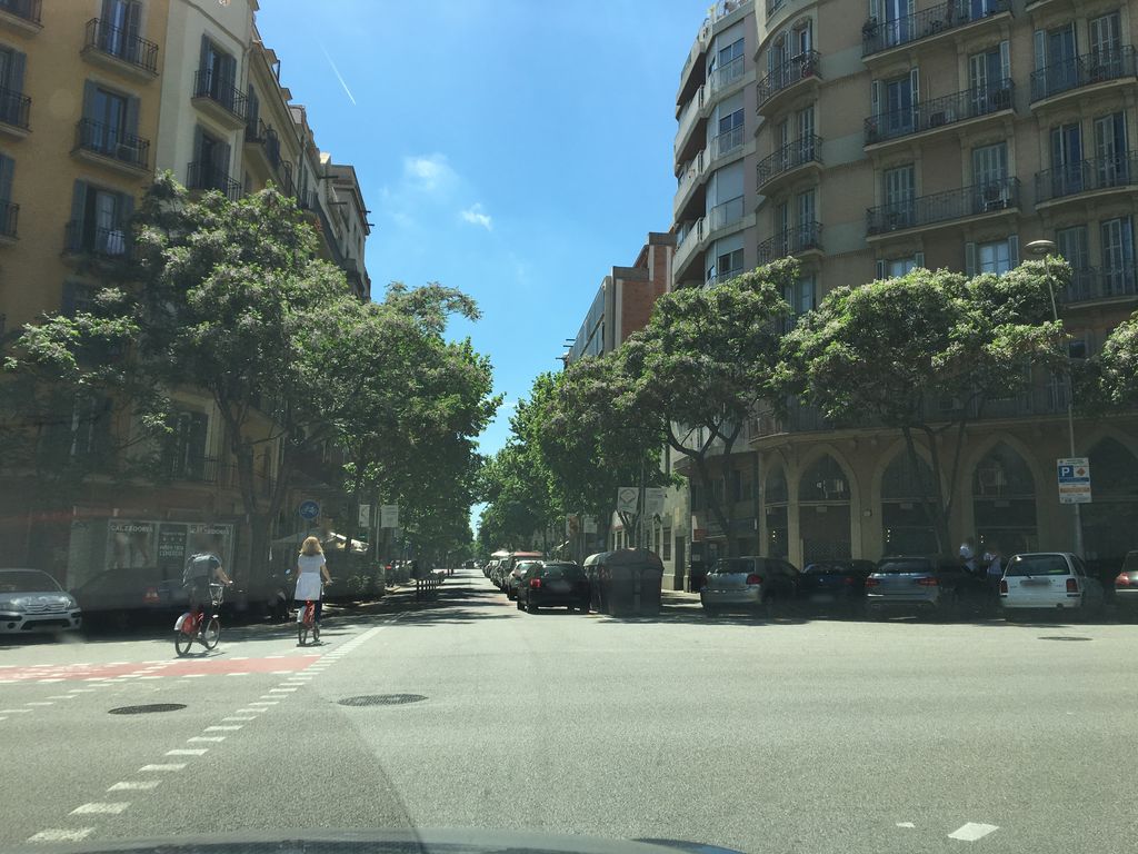 Gaudi