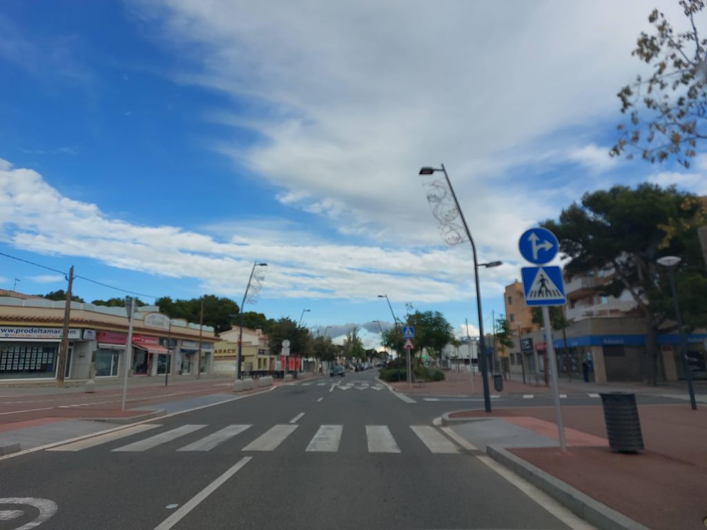 Pardo