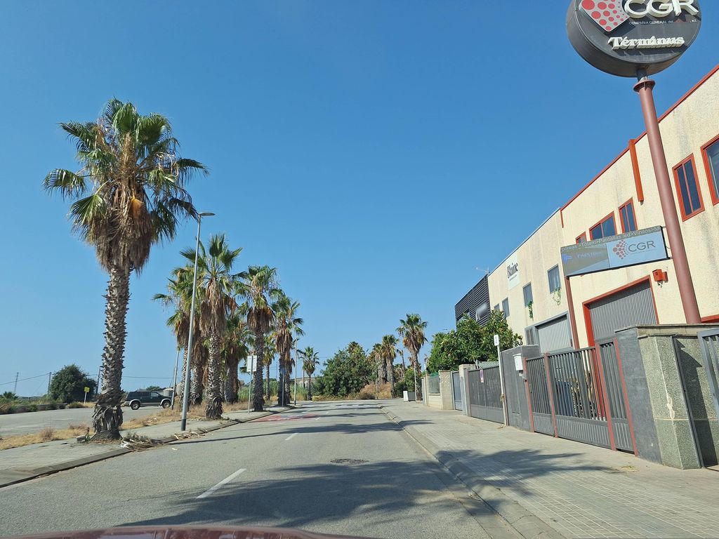 Balate (cerveza artesana)