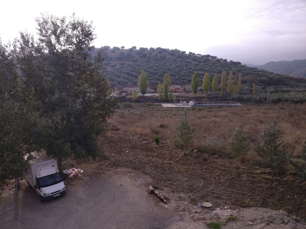 Bar Cafeteria Arco del Sol