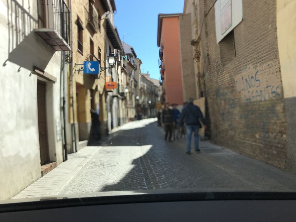 Pata Palo