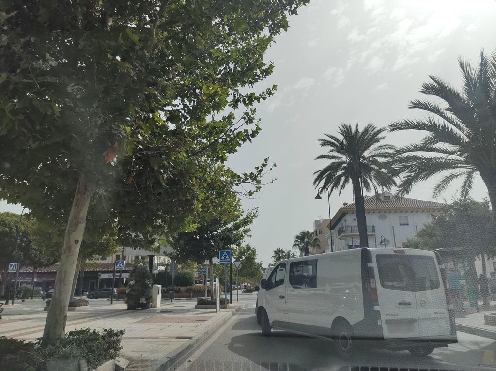 Cafetería Alejandro