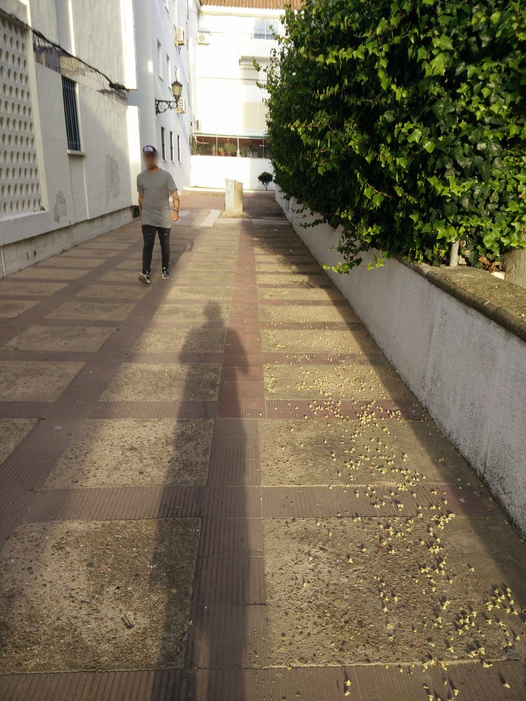 Churrería Asador Virgin del Rocio
