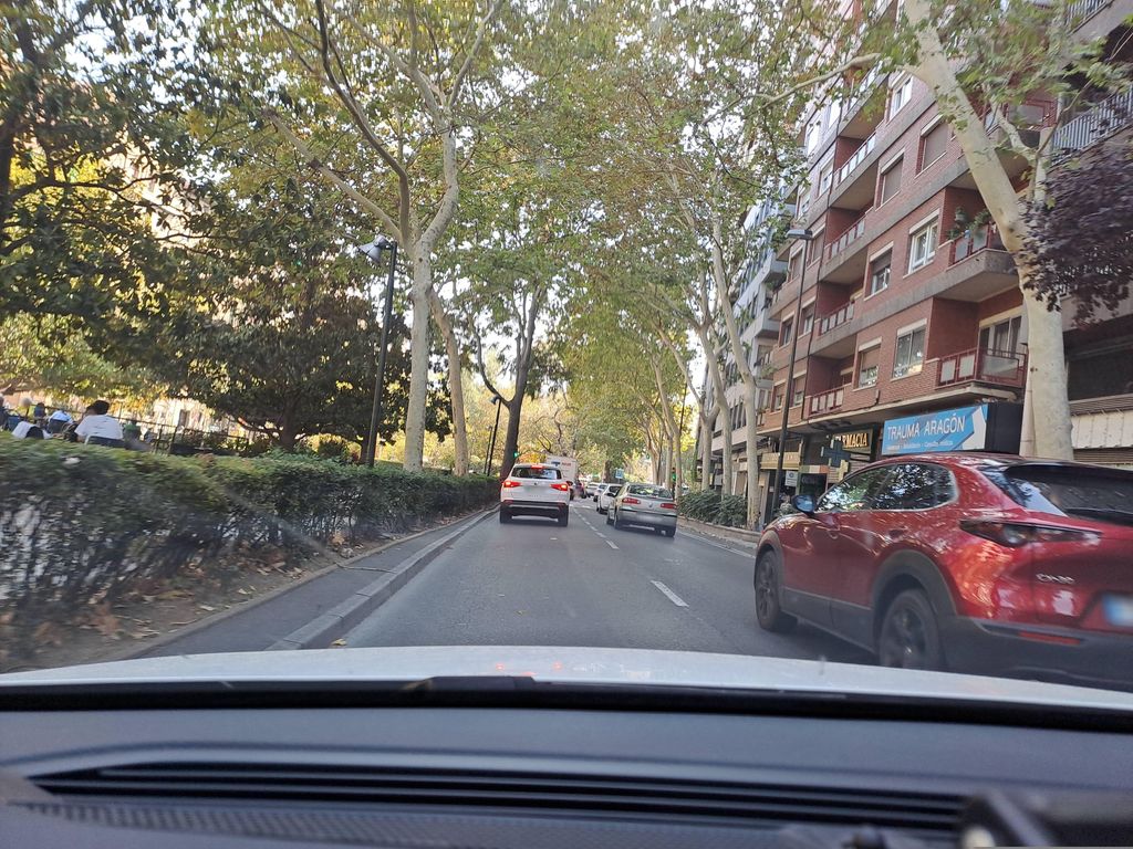 Olé Nuevo