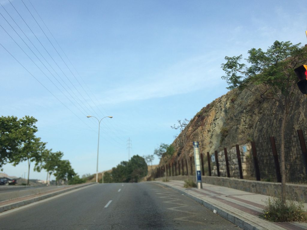 Cafetería-Bar Ternero