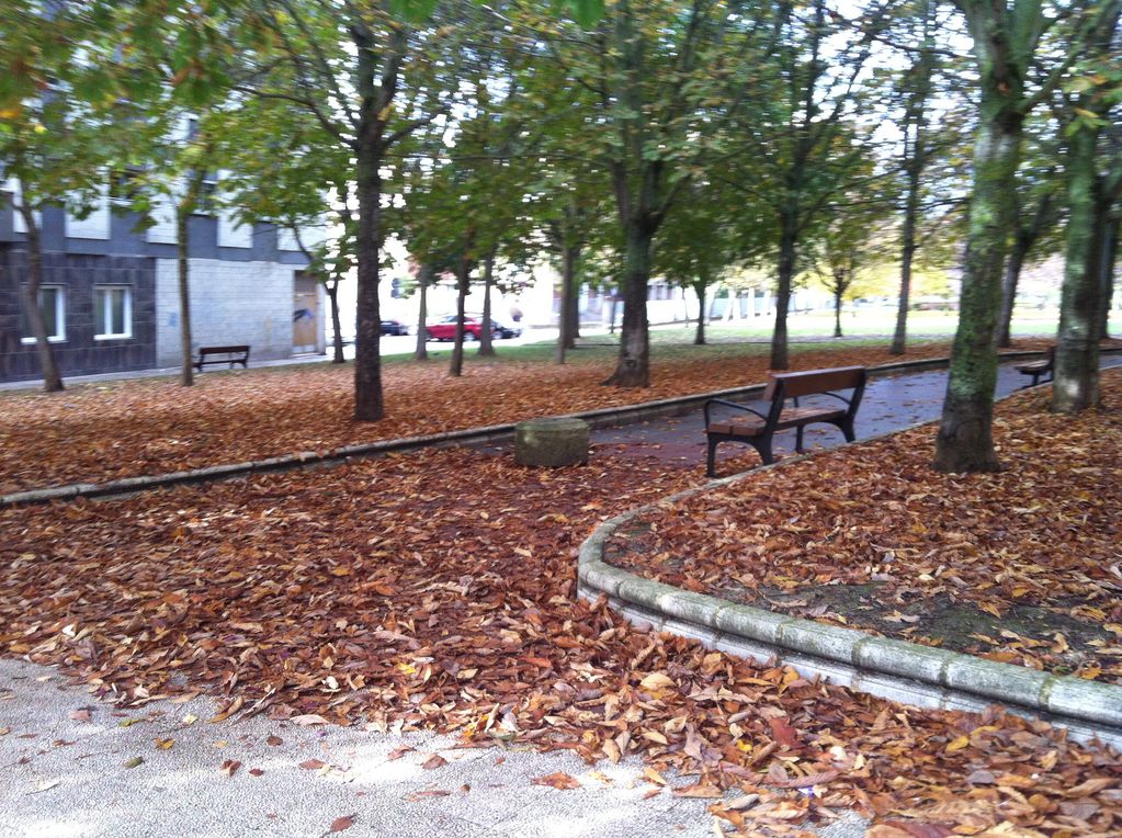 Alaiki