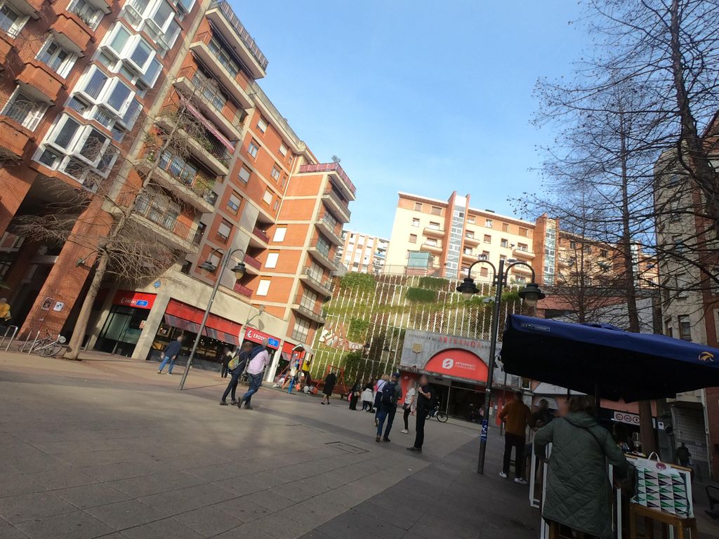 Salcedo