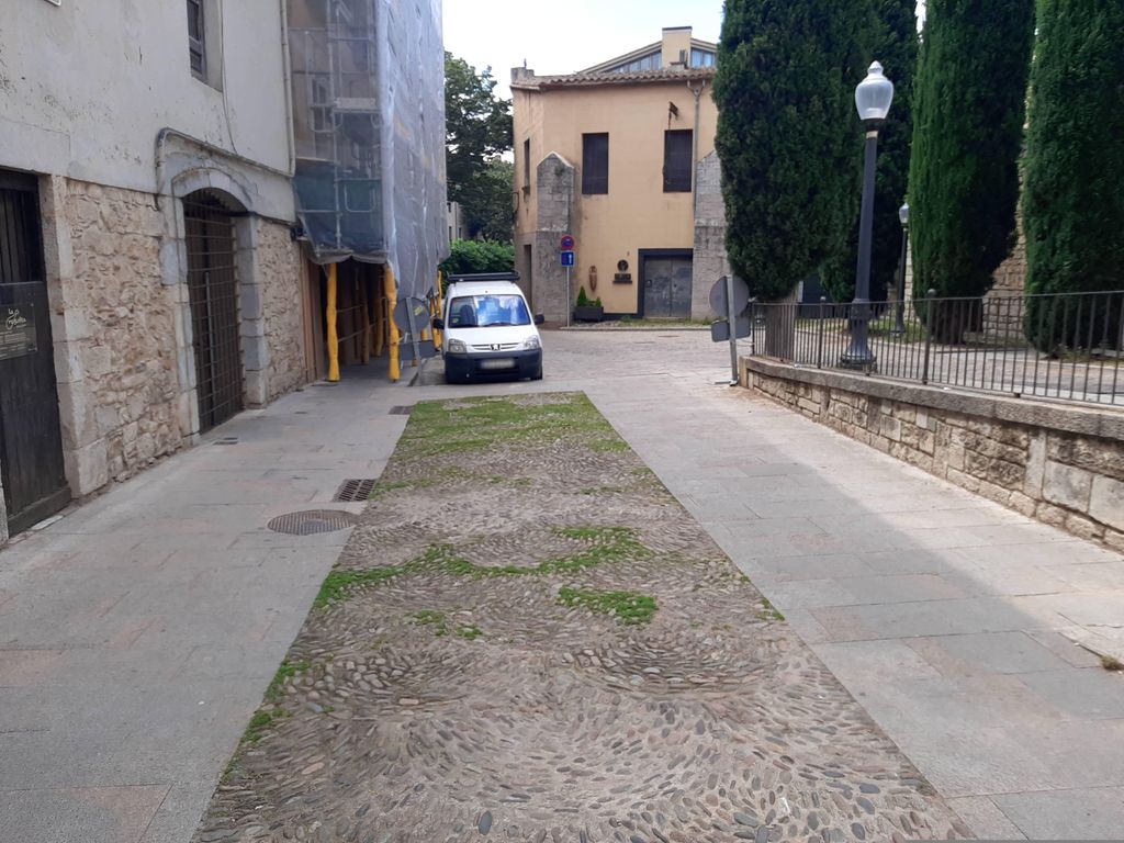 Cocktelería NYKTERI’S