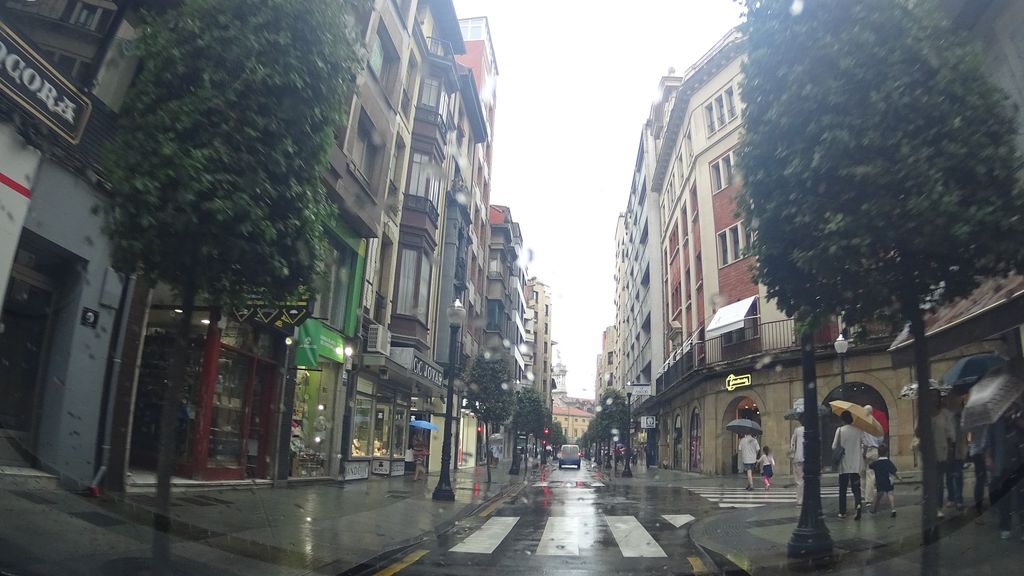 Mimosa - Café lanar