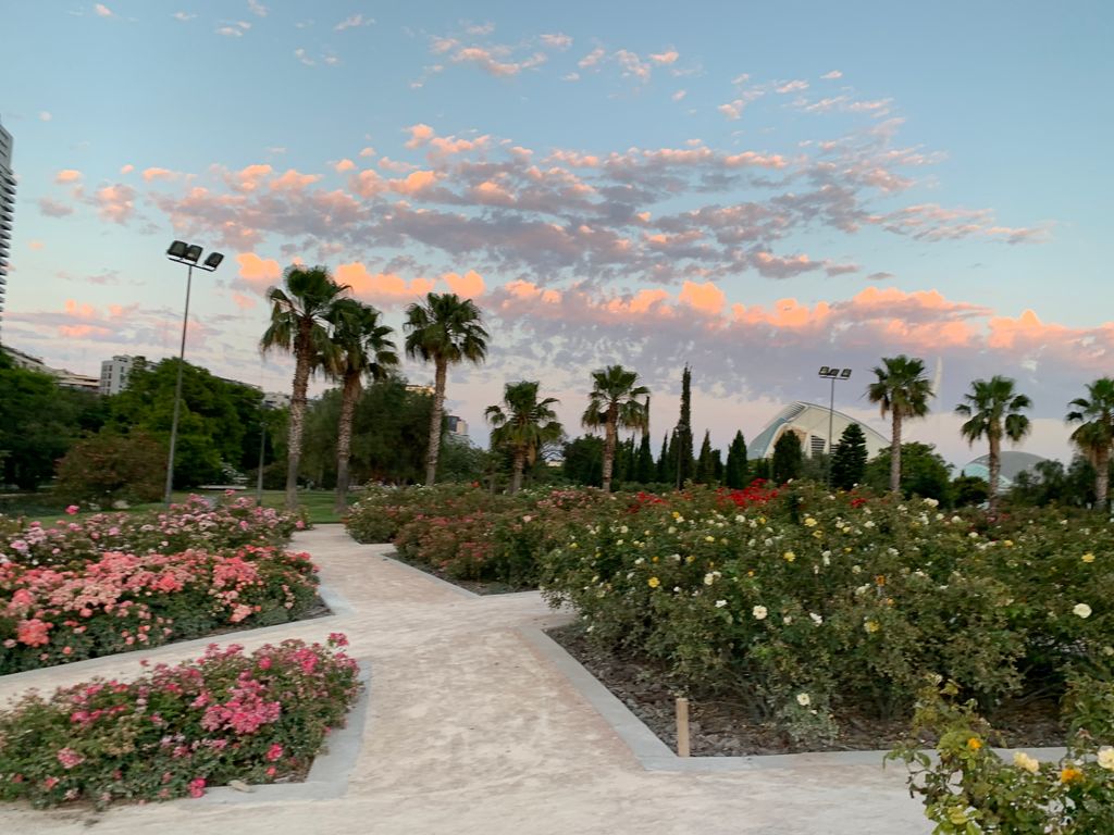 Bar Terraza El Mirador