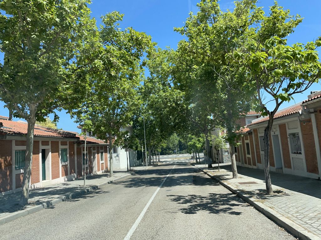 Las Rosas
