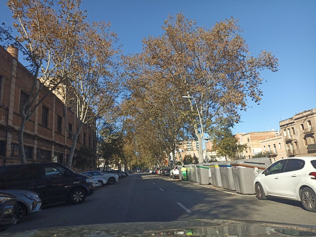 Castañer