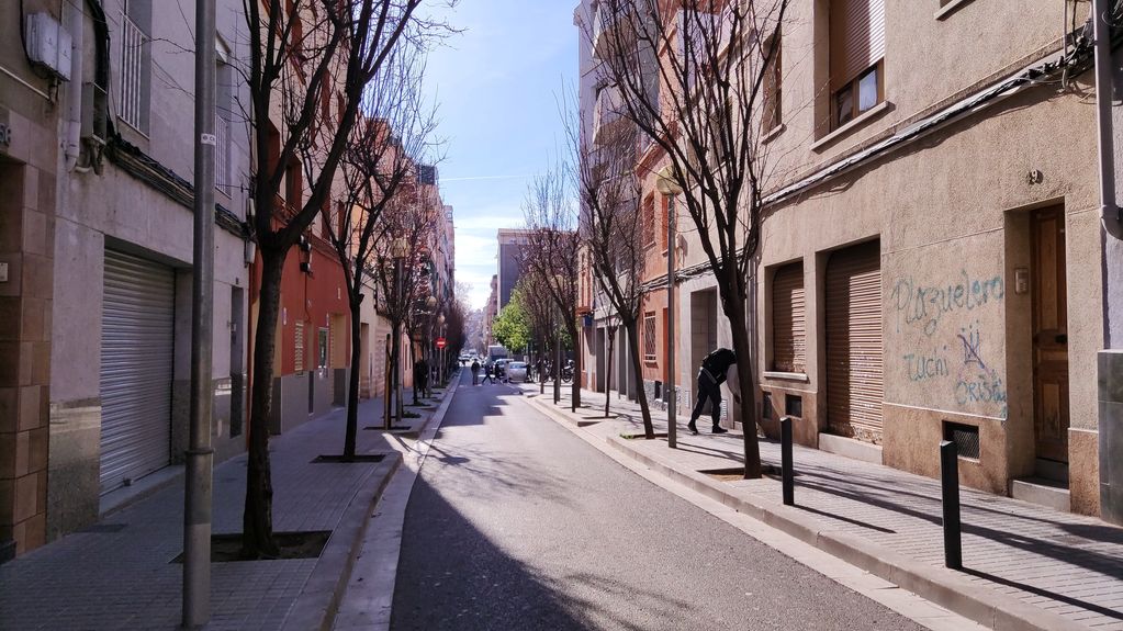 Can Gallego