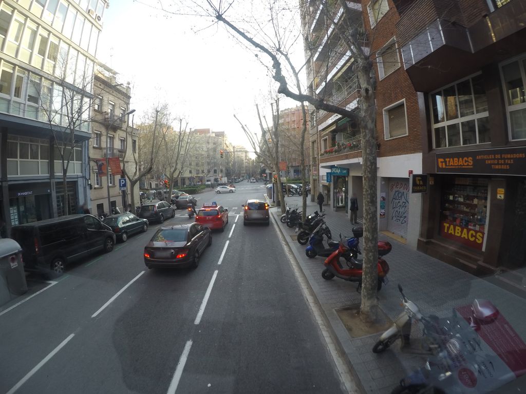 El rei del frankfurt