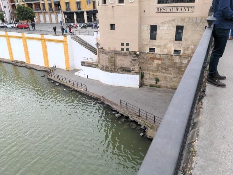 Bar la Muralla