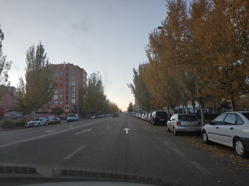 Delicias