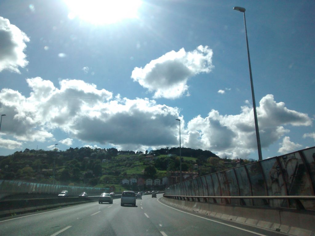 L@s leon@s