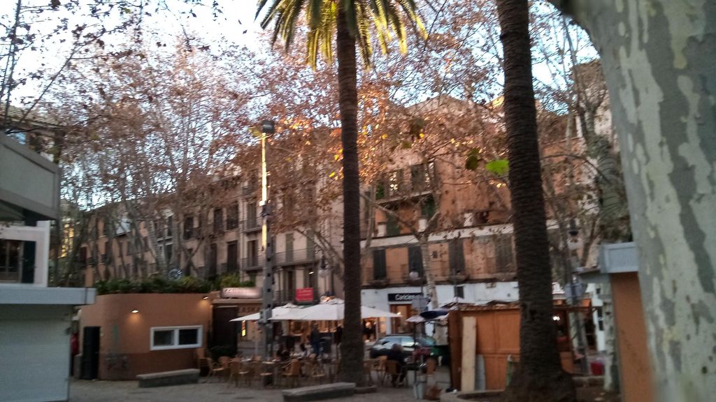 Simple Smart Food Bar