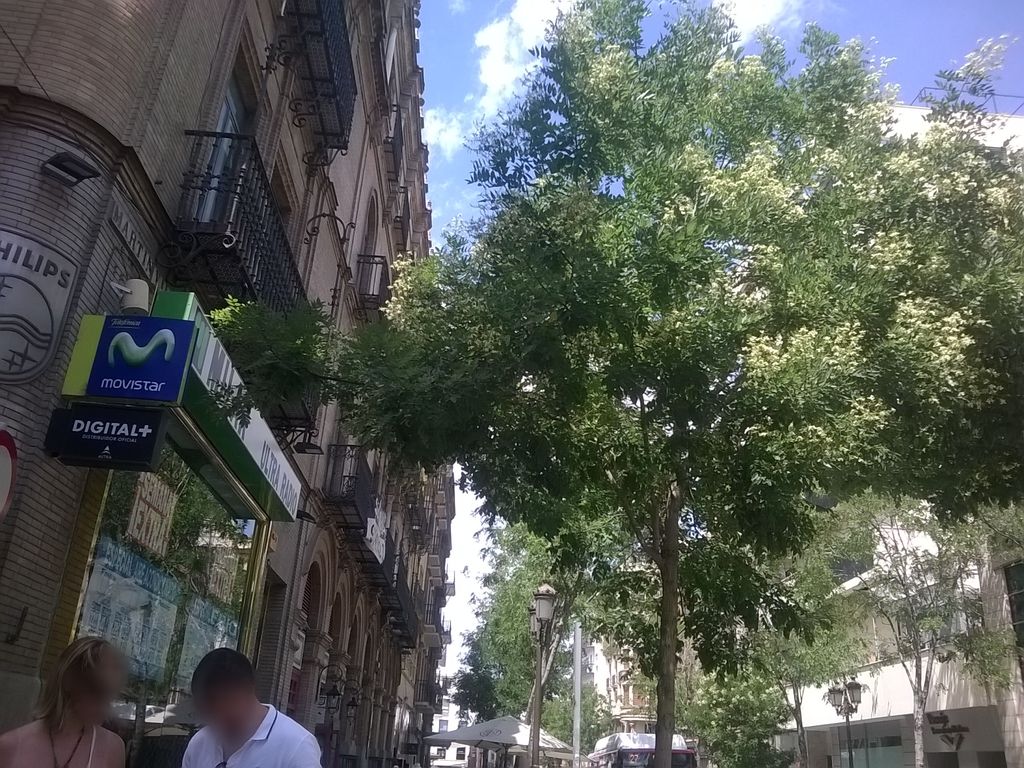 Er Tito