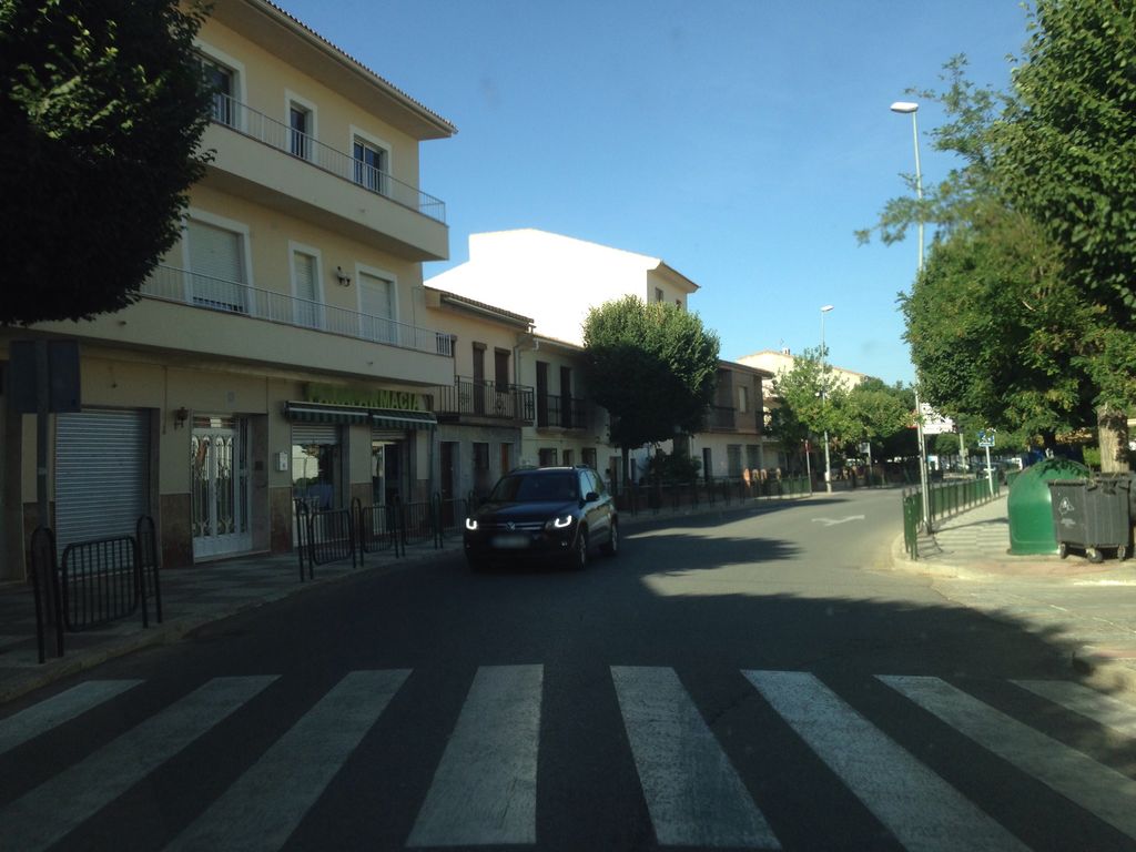 El Palustre