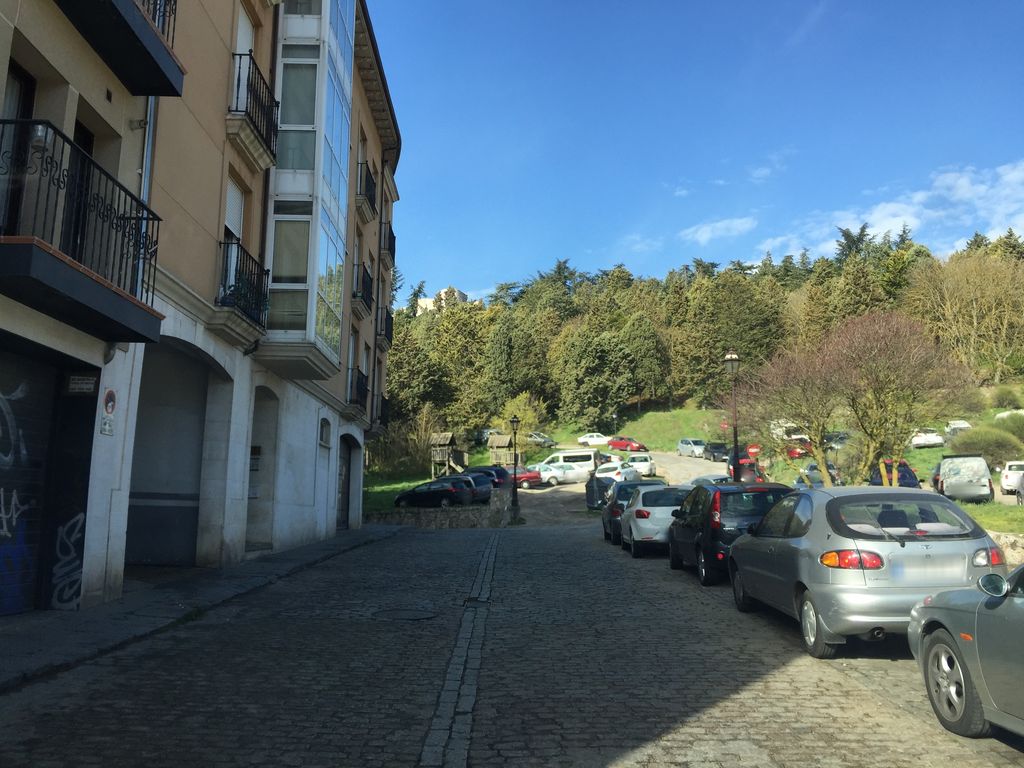 La Aceituna