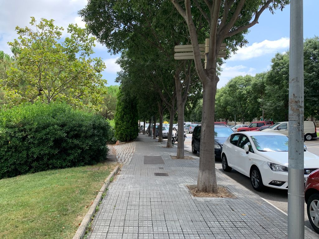 El Raco dels Avis
