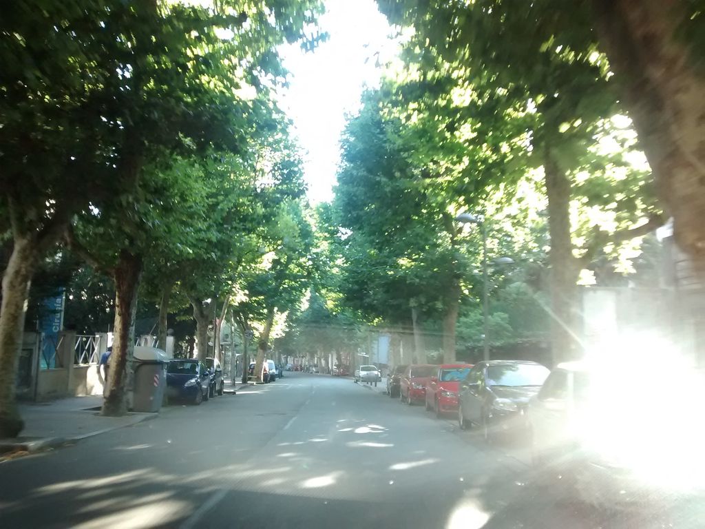 Bar Tino