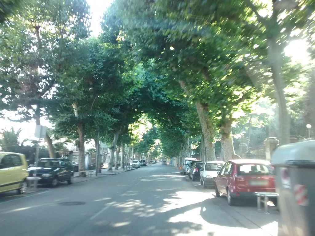 Bar El Colador