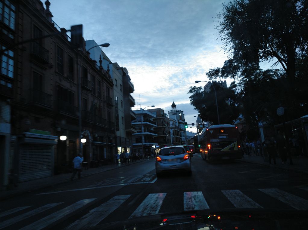 Los claveles