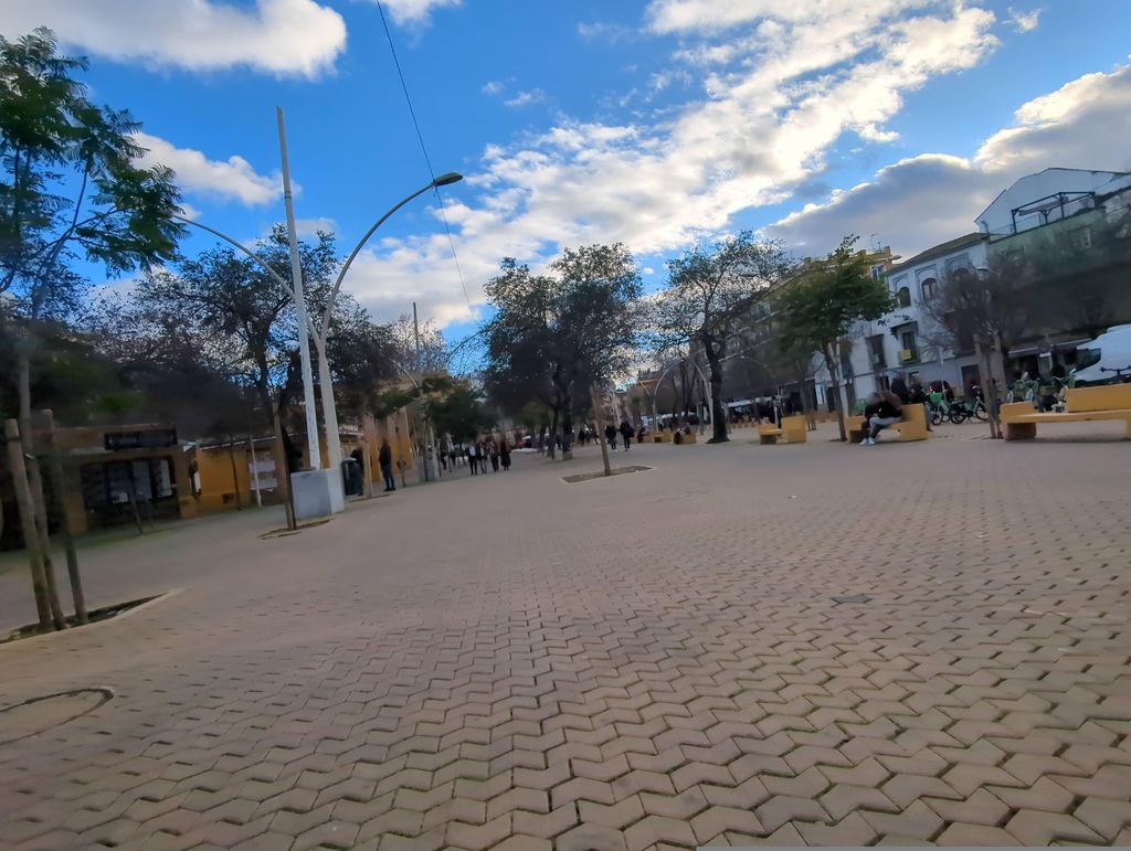 El Bosque animado