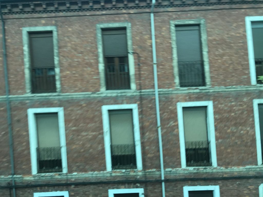 La Flor de la Canela